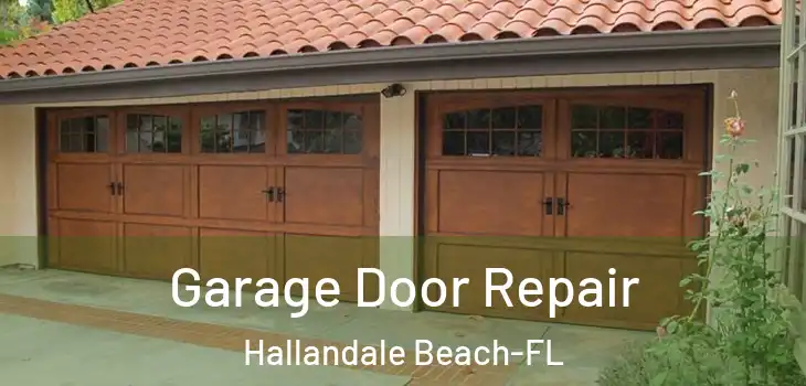  Garage Door Repair Hallandale Beach-FL
