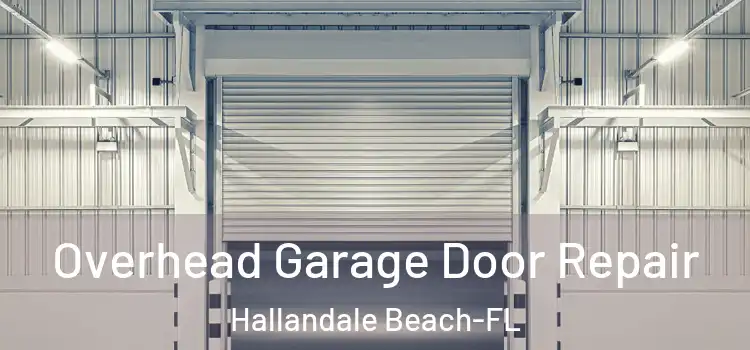 Overhead Garage Door Repair Hallandale Beach-FL